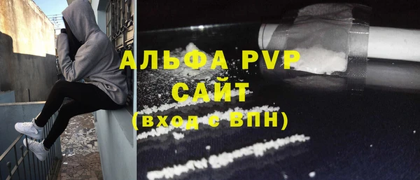 спиды Гусев