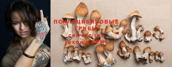 COCAINE Гусиноозёрск