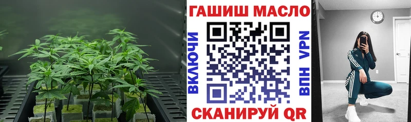 Купить где  Пролетарск  ТГК THC oil 