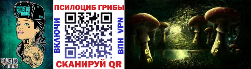 Купить где  Пролетарск  Псилоцибиновые грибы мицелий 